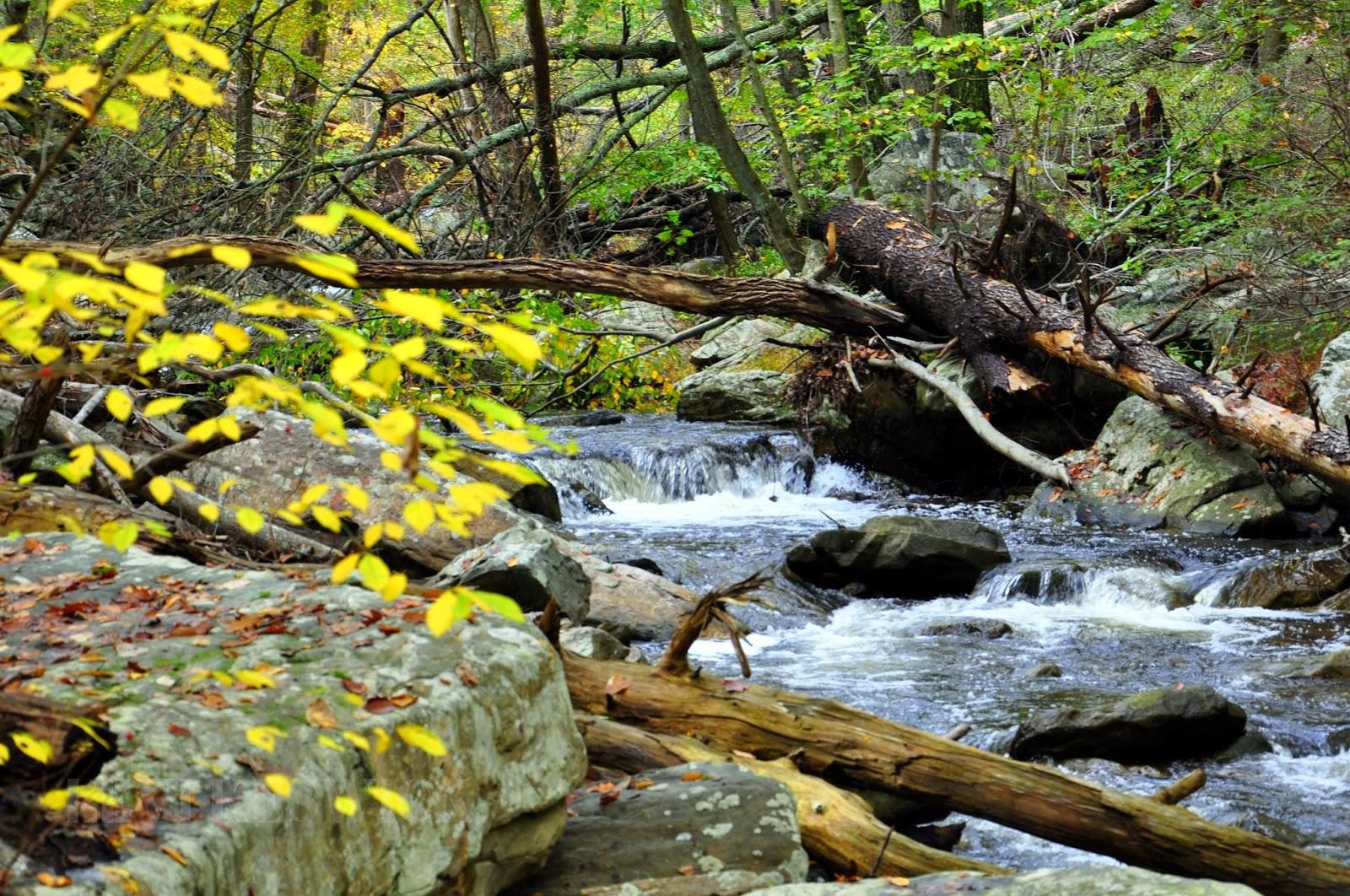 Favorite Places: Cunningham Falls - MidAtlantic Daytrips