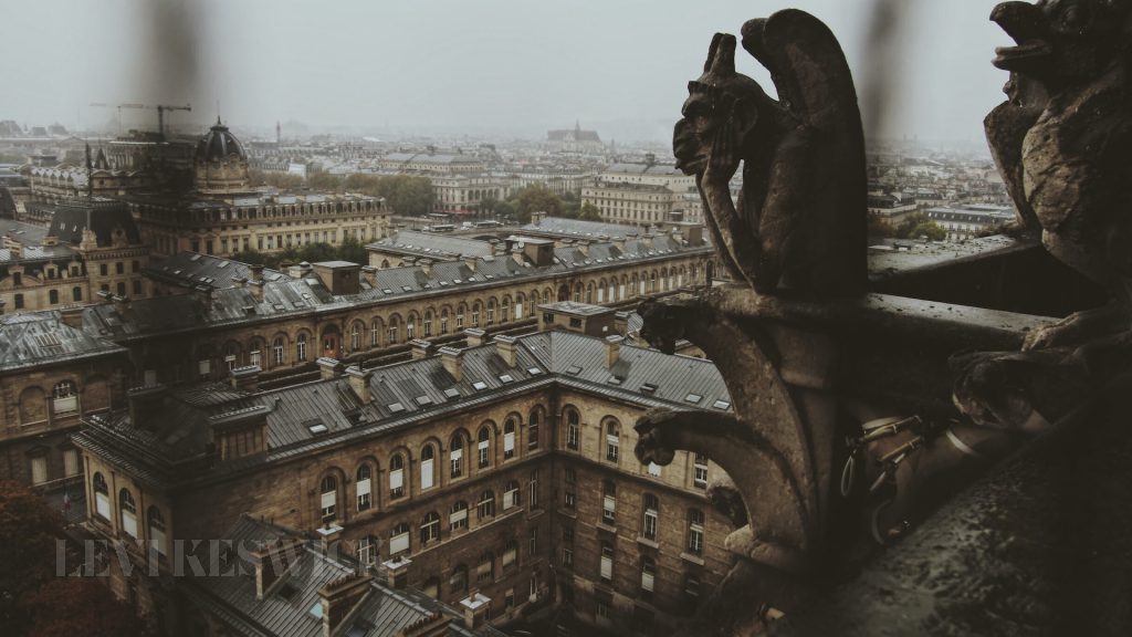 Photo by Rita Chou on Unsplash
